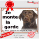 Labrador Chocolat Tête, Plaque portail extérieur "Je Monte la Garde, risques périls" panneau pancarte photo marron brun