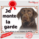 Labrador Chocolat Tête, Plaque portail extérieur "Je Monte la Garde, risques périls" panneau pancarte photo marron brun