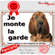 Saint-Hubert tête, plaque portail extérieur "Je Monte la Garde, risques et périls" pancarte attention au chien photo