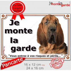 Saint-Hubert tête, plaque portail extérieur "Je Monte la Garde, risques et périls" pancarte attention au chien photo