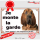 Saint-Hubert tête, plaque portail extérieur "Je Monte la Garde, risques et périls" pancarte attention au chien photo