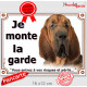 Saint-Hubert tête, plaque portail extérieur "Je Monte la Garde, risques et périls" pancarte attention au chien photo