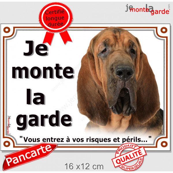 Saint-Hubert tête, plaque portail extérieur "Je Monte la Garde, risques et périls" pancarte attention au chien photo