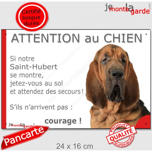 St-Hubert, plaque humour "Jetez Vous au Sol, Attention au Chien, courage" Pancarte drôle photo Saint-Hubert panneau marrant