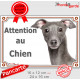 Petit Lévrier Italien gris bleu, plaque portail extérieur "Attention au Chien" pancarte panneau photo Levrette Italie