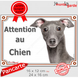 Petit Lévrier Italien gris bleu, plaque portail extérieur "Attention au Chien" pancarte panneau photo Levrette Italie