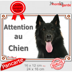 Berger Belge Groenendael, plaque portail "Attention au Chien" pancarte panneau photo