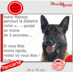 Berger Belge Malinois, plaque portail humour extérieur "parcourt Distance Niche-Portail moins 3 secondes" photo attention chien