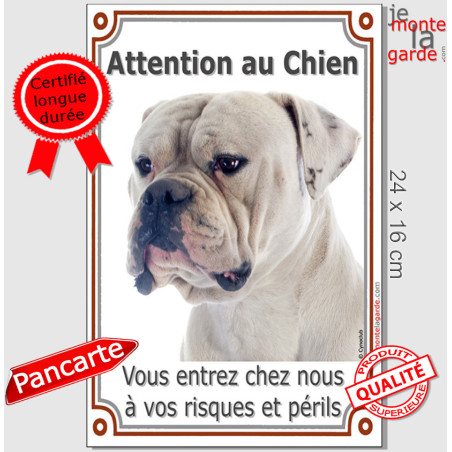 Bouledogue Américain tout blanc, plaque portail verticale "Attention au Chien, vous entrez à vos risques et périls" photon résis