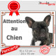 Bouledogue Français noir bringé, plaque portail "Attention au Chien" panneau pancarte bringué rayé raillé photo