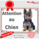 Yorkshire Terrier Assis, Plaque portail extérieure "Attention au Chien" panneau affiche pancarte York photo