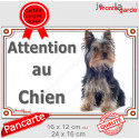 Yorkshire Terrier Assis, plaque portail extérieur "Attention au Chien" 2 tailles LUX D