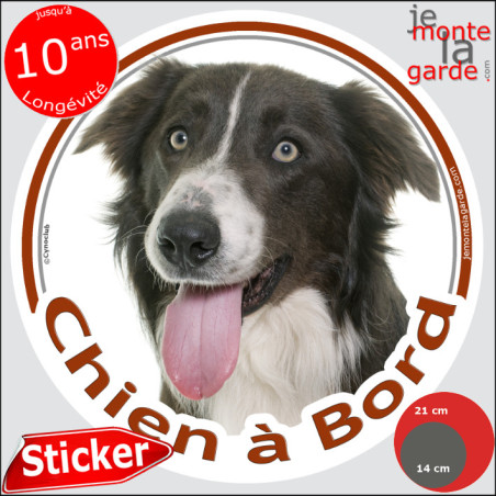 Border Collie brun et blanc, sticker autocollant rond "Chien à Bord" Disque photo adhésif vitre auto voiture marron, résiste plu