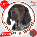 Braque Allemand marron, sticker voiture rond "Chien à Bord" 2 tailles D