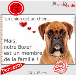 Boxer Fauve tête, plaque "un chien est un membre de la famille" affiche panneau photo pancarte attention idée cadeau