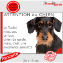 Plaque extérieure humour "Attention au Chien, le Teckel poils durs est une sonnette" 24 cm RNG