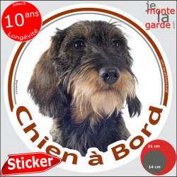 Teckel marron sanglier à poils durs, sticker autocollant rond "Chien à Bord" Disque adhésif vitre voiture photo