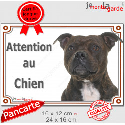 Staffie bringé Tête, plaque portail extérieur "Attention au Chien" pancarte Staffy photo race bringué Staffordshire Bull Terrier