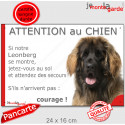 Leonberg, plaque portail humour "Attention au Chien, Jetez Vous au Sol" 2 tailles JET D