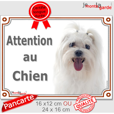 Bichon Maltais tête, plaque portail "Attention au Chien" photo, résiste pluie soleil gel, idée cadeau