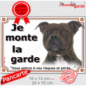 Staffie bringé, plaque extérieure "Je Monte la Garde, risques périls" 2 tailles LUX D
