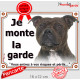 Staffie bringé, plaque portail extérieur "Je Monte la Garde, risques périls" panneau pancarte, photo staffy zébré