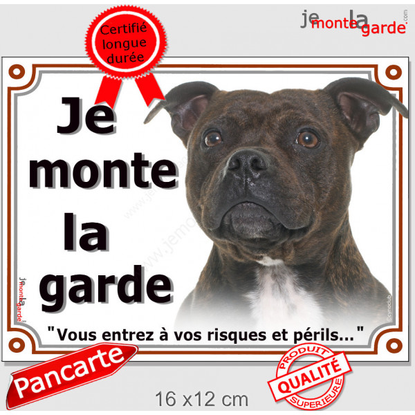 Staffie bringé, plaque portail extérieur "Je Monte la Garde, risques périls" panneau pancarte, photo staffy zébré