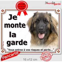 Leonberg Tête, plaque portail extérieur "Je Monte la Garde, risques périls" pancarte panneau photo race