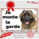 Leonberg Tête, plaque portail extérieur "Je Monte la Garde, risques périls" pancarte panneau photo race