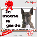 Bull Terrier bringé, plaque extérieure "Je Monte la Garde, risques périls" 24 cm LUX