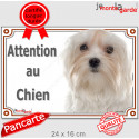 Bichon Maltais, plaque portail "Attention au Chien" 24 cm LUX