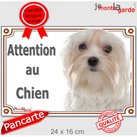 Bichon Maltais tête, plaque portail "Attention au Chien" photo, résiste pluie soleil gel, idée cadeau
