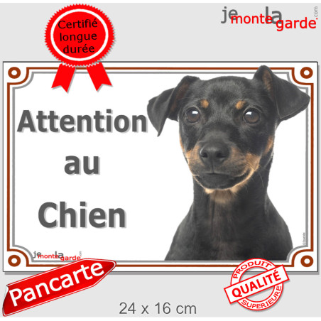 Pinscher noir et feu, plaque portail photo "Attention au chien" résiste pluie soleil gel, idée cadeau, 3 Tailles C