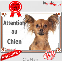 Russkiy Toy fauve marron, plaque portail "Attention au Chien" pancarte panneau petit chien russe