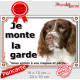 Springer Spaniel marron, Plaque portail extérieur "Je monte la garde, risques périls" pancarte photo springeur attention chien
