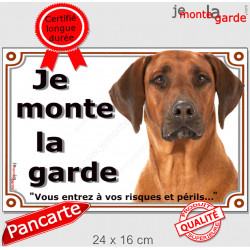 Rhodesian Ridgeback, plaque portail photo extérieur "Je Monte la Garde risques périls" pancarte Attention au Chien panneau