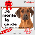 Rhodesian Ridgeback, plaque extérieure "Je Monte la Garde, risques périls" 24 cm LUX