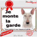 Bull Terrier tout blanc, plaque extérieure "Je Monte la Garde, risques périls" 24 cm LUX