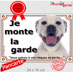 Bouledogue Américain tout blanc, plaque portail "Je Monte la Garde, risques et périls" pancarte panneau bulldog photo