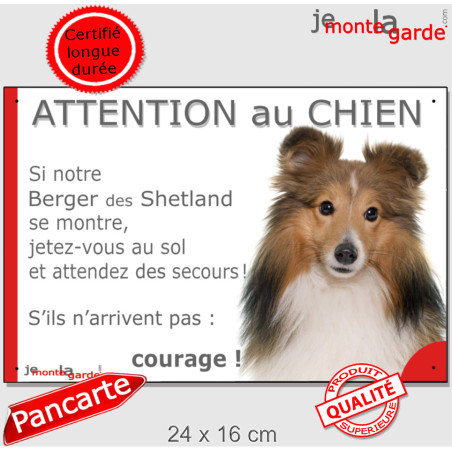 Berger Shetland fauve, plaque portail humour "Attention au Chien, Jetez Vous au Sol, attendez secours, courage" photo Sheltie