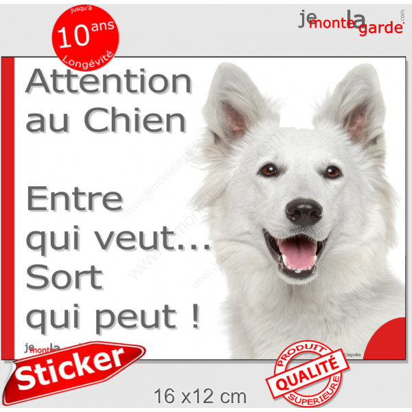 Berger Blanc Suisse, sticker portail humour "Attention au Chien, Entre qui veut, sort qui peut !" photo pancarte autocollant bbs