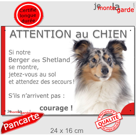 Berger Shetlands Bleu Merle, plaque portail humour "Attention au Chien, Jetez Vous au Sol, attendez secours, courage" photo