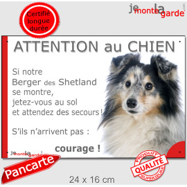 Berger Shetlands Bleu Merle, plaque portail humour "Attention au Chien, Jetez Vous au Sol, attendez secours, courage" photo