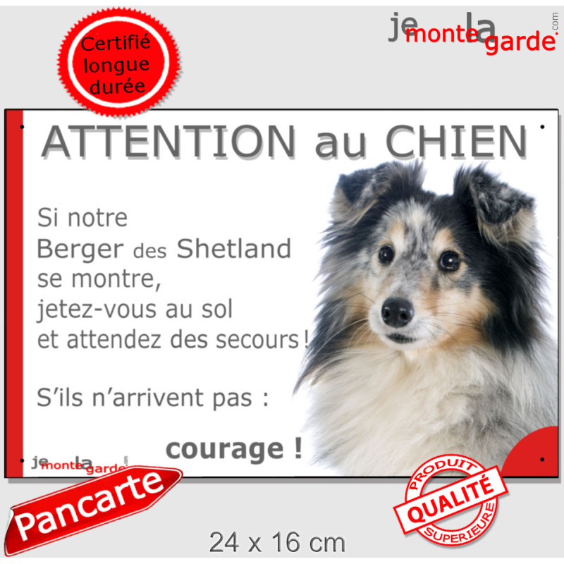 Berger Shetlands Bleu Merle, plaque portail humour "Attention au Chien, Jetez Vous au Sol, attendez secours, courage" photo Berger Shetlands Bleu Merle, plaque portail humour "Attention au Chien, Jetez Vous au Sol, attendez secours, courage" photo