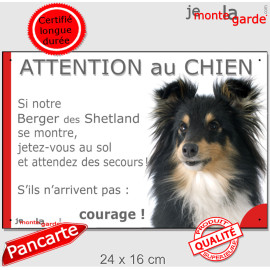 Berger Shetlands Tricolore, plaque portail humour "Attention au Chien, Jetez Vous au Sol, attendez secours, courage" photo, rési