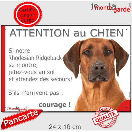 Rhodesian Ridgeback, plaque humour "Jetez Vous au Sol, Attention au Chien" 24 cm JET Rhodesian Ridgeback, plaque humour "Jetez Vous au Sol, Attention au Chien" 24 cm JET