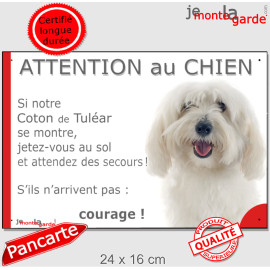Coton de Tuléar tout blanc, plaque portail humour "Attention au Chien, Jetez Vous au Sol, attendez secours, courage" photo, rési