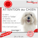 Coton de Tuléar, plaque portail humour "Attention au Chien, Jetez Vous au So, couragel" 24 cm JET