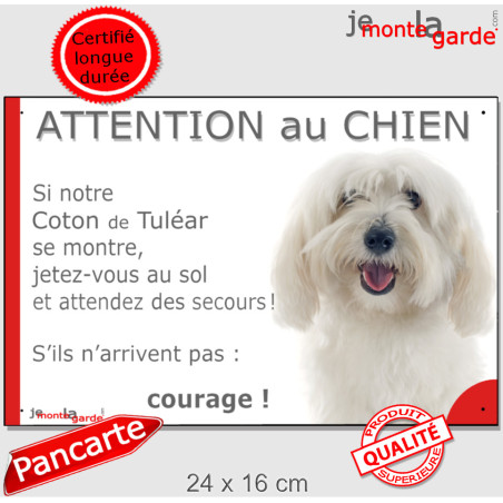Coton de Tuléar tout blanc, plaque portail humour "Attention au Chien, Jetez Vous au Sol, attendez secours, courage" photo, rési