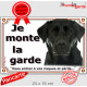 Labrador Noir, plaque portail extérieur "Je Monte la Garde, risques et périls" pancarte attention au chien panneau photo